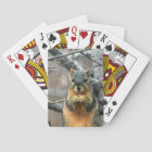 Cute squirrel and his nut