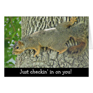 Cute Squirrel Archiver sur votre carte