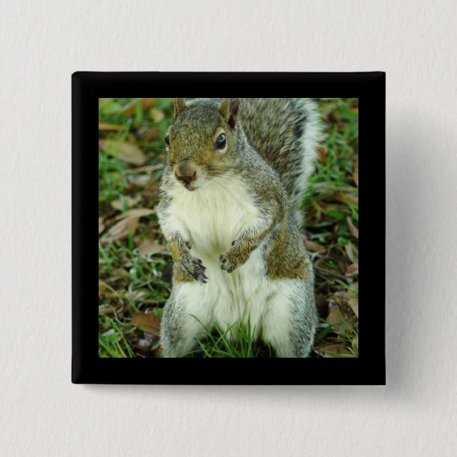 Cute Squirrel Button (Front)