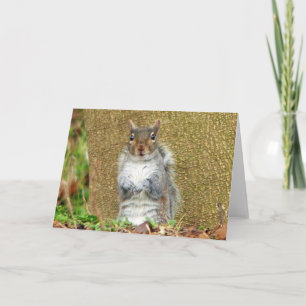 Cute Squirrel Card