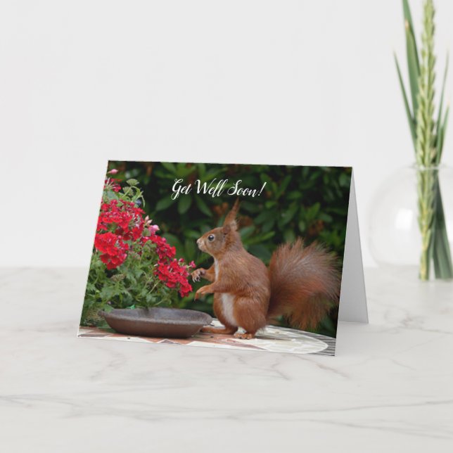 Cute Squirrel Custom Get Well Greeting Card (Front)