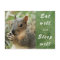 cute squirrel eat well and sleep well post card