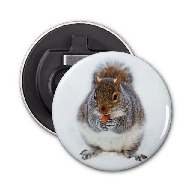 Cute Squirrel Eating a Nut Bottle Opener (Front)