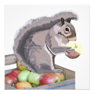 Cute Squirrel Eating an Apple on a Apple Crate  Photo Print