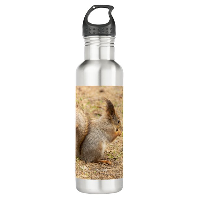 Cute squirrel eats a nut photo 710 ml water bottle (Front)