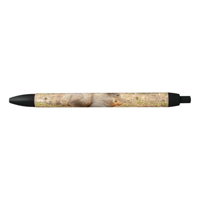 Cute squirrel eats a nut photo black ink pen (Front)