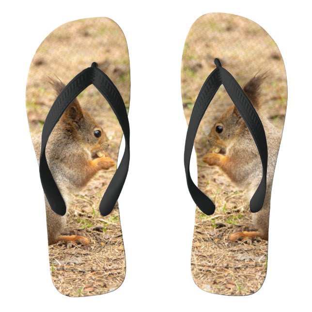 Cute squirrel eats a nut photo flip flops (Footbed)