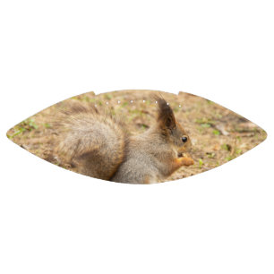 Cute squirrel eats a nut photo football