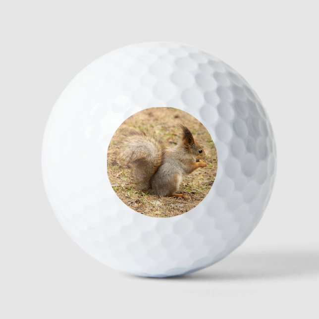 Cute squirrel eats a nut photo golf balls (Front)