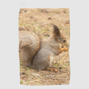 Cute squirrel eats a nut photo golf towel