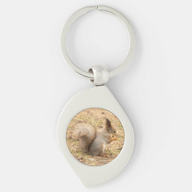 Cute squirrel eats a nut photo keychain (Front)