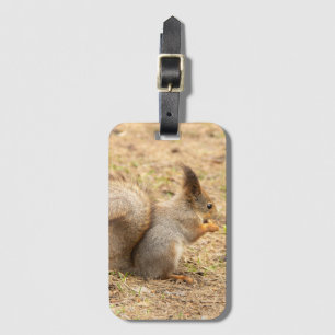 Cute squirrel eats a nut photo luggage tag