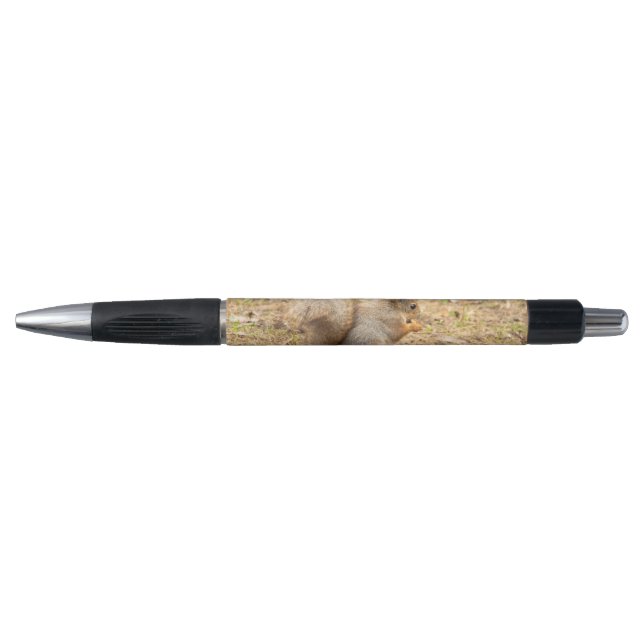 Cute squirrel eats a nut photo pen (Front)
