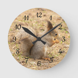 Cute squirrel eats a nut photo round clock