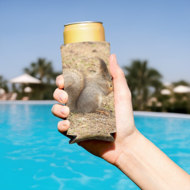 Cute squirrel eats a nut photo seltzer can cooler (In Situ Pool)