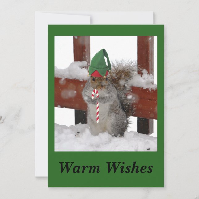 Cute Squirrel Flat Holiday Card on Green (Front)