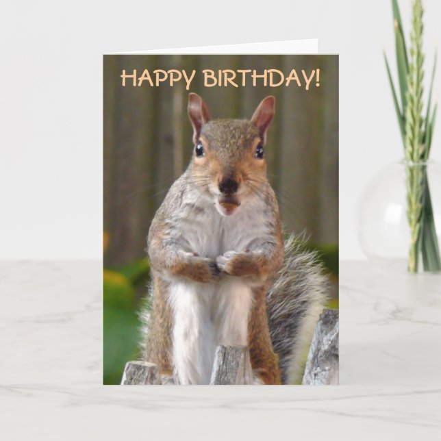 Cute Squirrel Happy Birthday Card (Front)