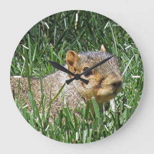 Cute Squirrel in Grass Photo  Round Clock