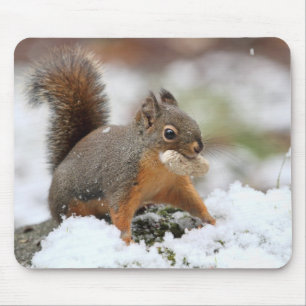 Cute Squirrel in Snow with Peanut Mouse Pad