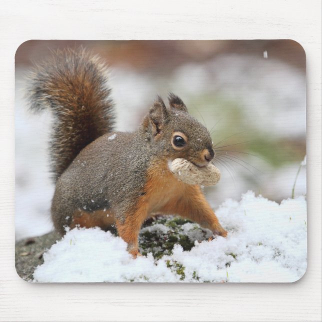 Cute Squirrel in Snow with Peanut Mouse Pad (Front)