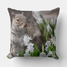 Cute Squirrel in Spring Flowers Nature Photography