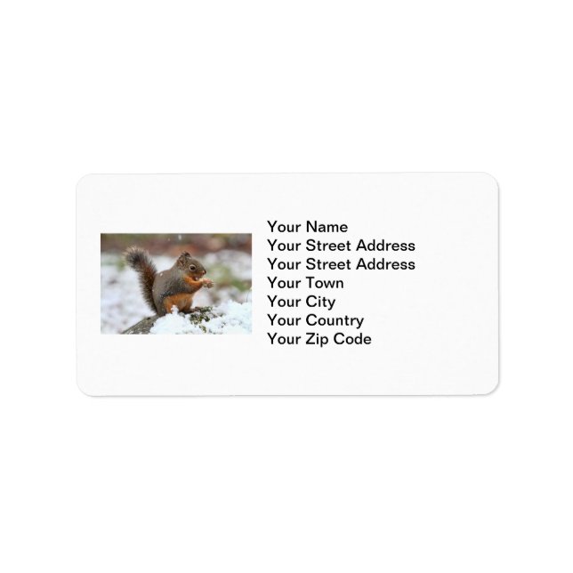 Cute Squirrel in the Snow Photo Label (Front)