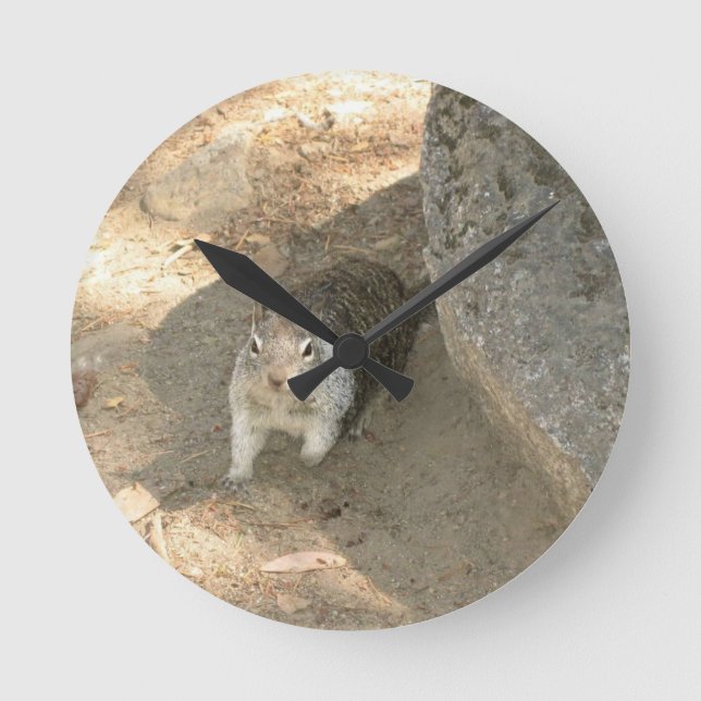 Cute Squirrel in Yosemite, CA Round Clock (Front)