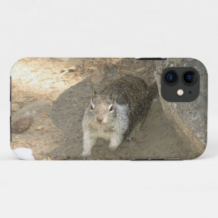 Cute Squirrel in Yosemite, California iPhone 11 Case