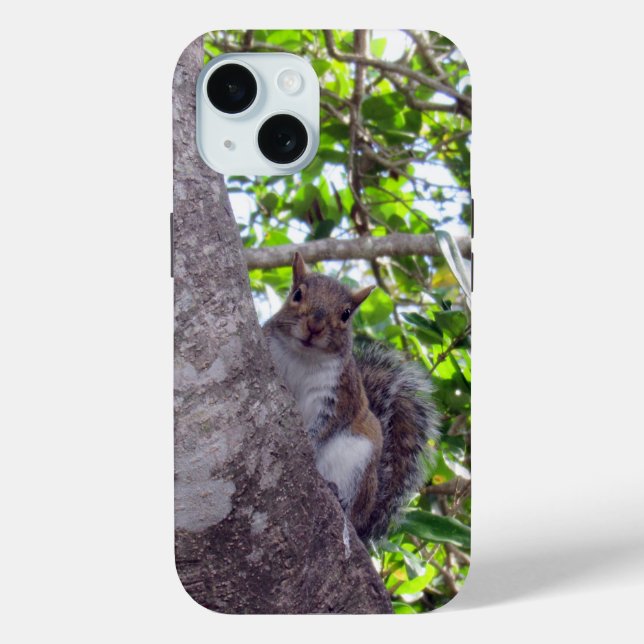 Cute Squirrel - iPhone / iPad case (Back)