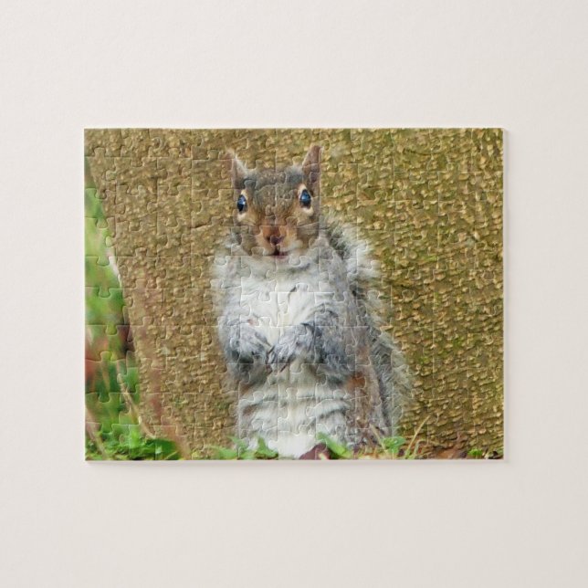Cute Squirrel Jigsaw Puzzle (Horizontal)