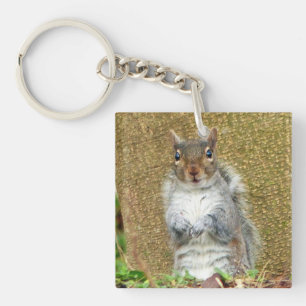 Cute Squirrel Keychain