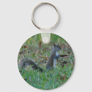 Cute Squirrel Keychain