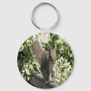 Cute Squirrel Keychain