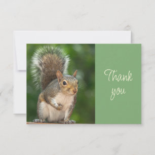 Cute Squirrel Looking Thankful  Thank You Card