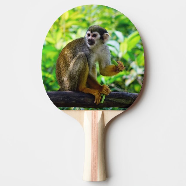 Cute squirrel monkey ping pong paddle (Front)
