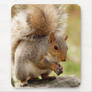 Cute Squirrel Mouse Pad