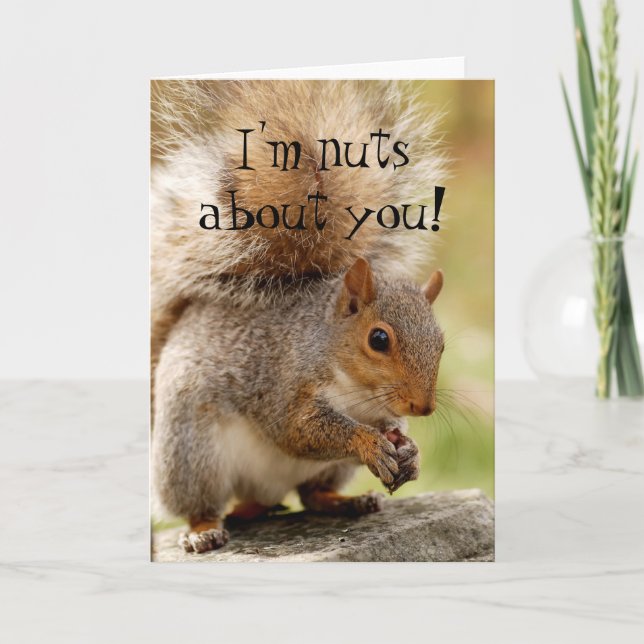 Cute Squirrel "Nuts About You" Card (Front)