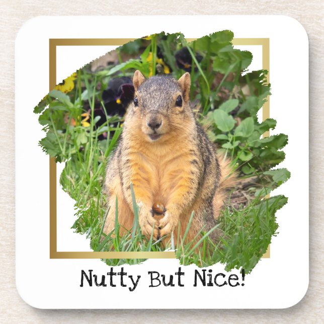 Cute Squirrel Nutty But Nice Coaster (Front)