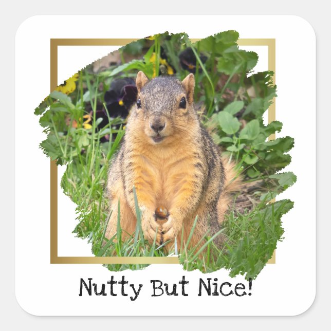 Cute Squirrel Nutty But Nice Square Sticker (Front)