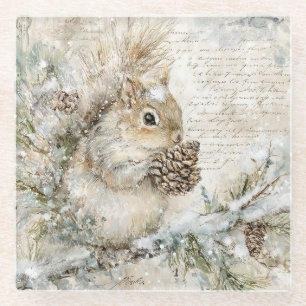 Cute squirrel on the pine branch glass coaster