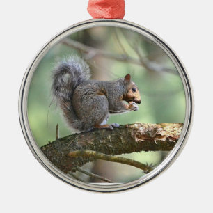 Cute Squirrel Ornament