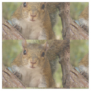 Cute squirrel pattern on material. fabric
