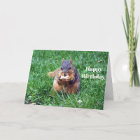 Cute Squirrel Peanut Photo Birthday