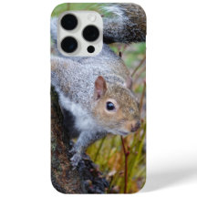 Cute squirrel phone case