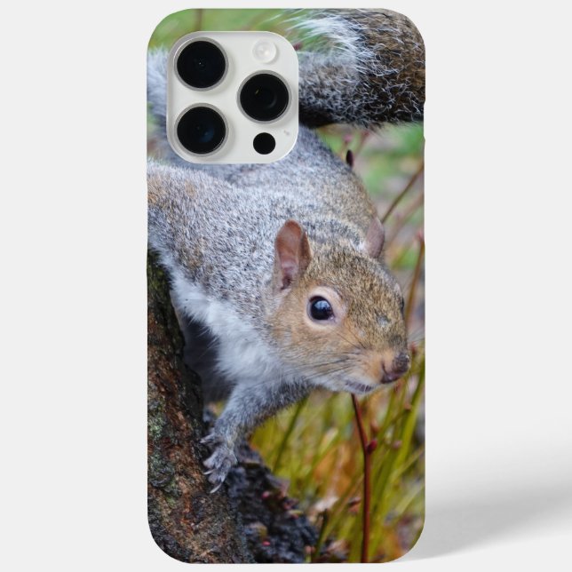 Cute squirrel phone case (Back)