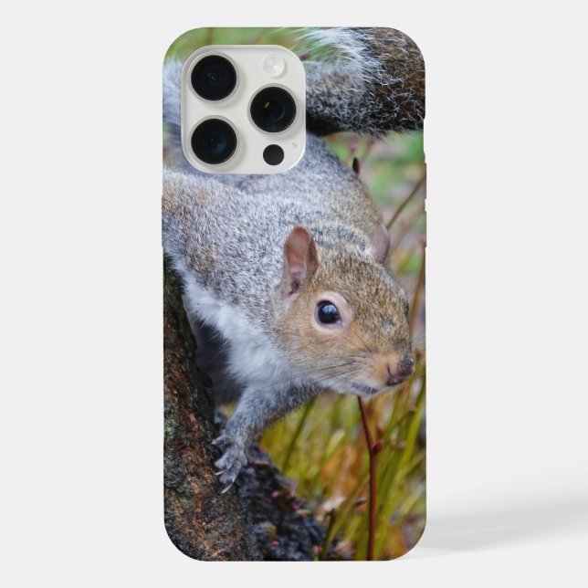 Cute squirrel phone case (Back)