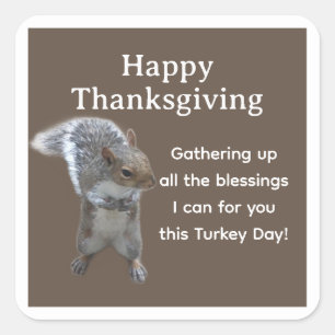 Cute Squirrel Photo Happy Thanksgiving Day Square Sticker