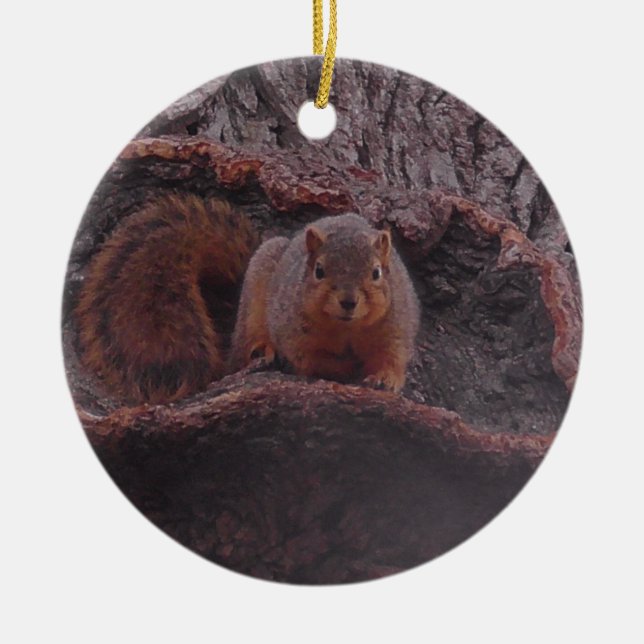 Cute Squirrel Photo Personalized Ceramic Ornament (Front)