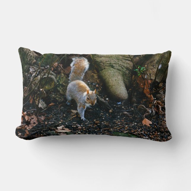 Cute Squirrel Photograph, Animal In Forest Lumbar Pillow (Front)