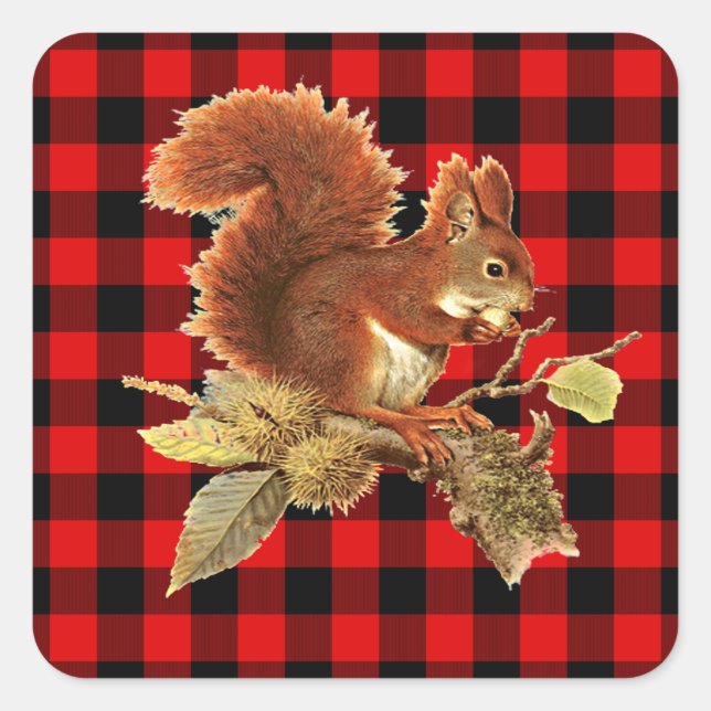 Cute Squirrel Red Black Buffalo Check Plaid Square Sticker (Front)
